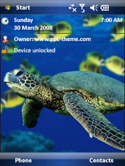 Green Sea Turtle ppc theme